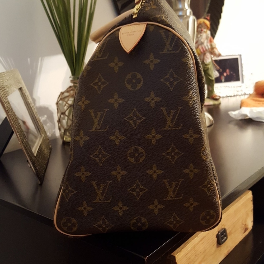 Louis Vuitton Handbag